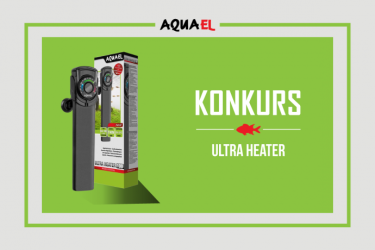 Konkurs "Mój ślimak"