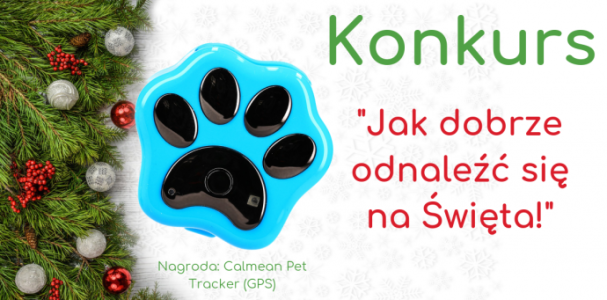 Konkurs fotograficzny "Jak dobrze odnaleźć się na Święta!"