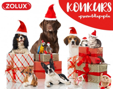 Konkurs fotograficzny "Prezent dla pupila"