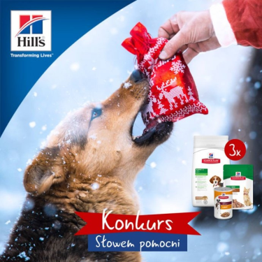 Konkurs "Słowem pomocni"