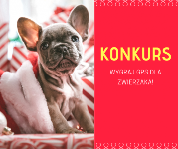 Wygraj GPS dla zwierzaka