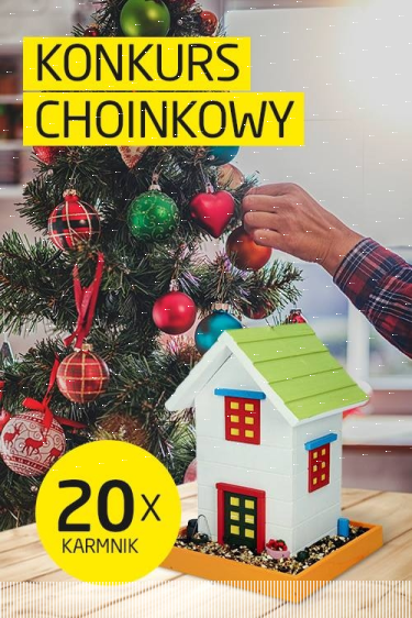 Fotograficzny konkurs choinkowy