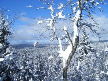 Zimowe konkursy TVP ABC