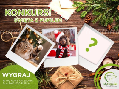 Konkurs fotograficzny "Zdjęcie zwierzaka w świątecznym klimacie"