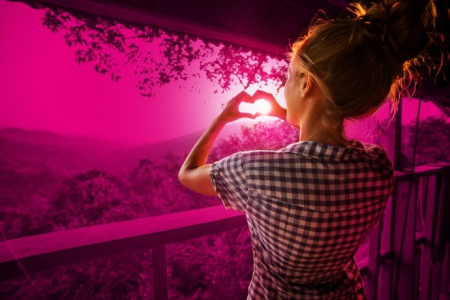 Konkurs "Dbam o las z T-Mobile" etapy