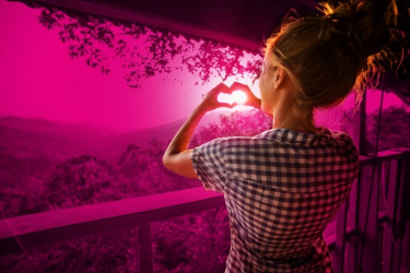 Konkurs "Dbam o las z T-Mobile" etapy