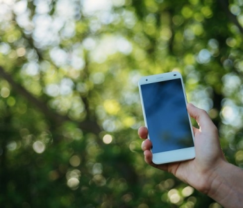 Konkurs "Cyfrowy las"