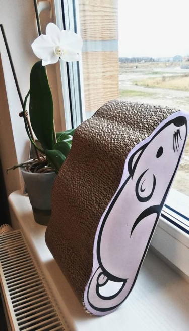 Wygraj drapak papierowy w kształcie myszki