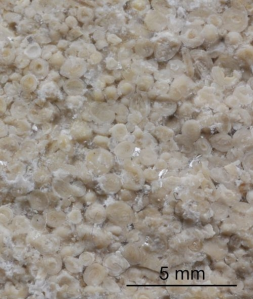 Konkurs "Zagadka styczniowa"