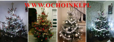 Konkurs fotograficzny "Najpiękniejsza Choinka 2018"