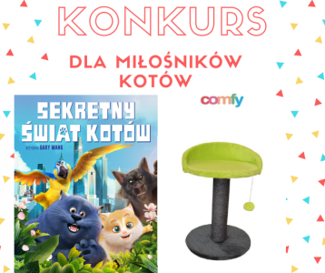 Konkurs fotograficzny dla miłośników kotów