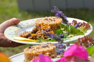 Konkurs kulinarny "Cały ogród na talerzu"