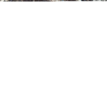 Konkurs fotograficzny "Zima z Profi"