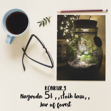 Konkurs "Słoik Lasu"