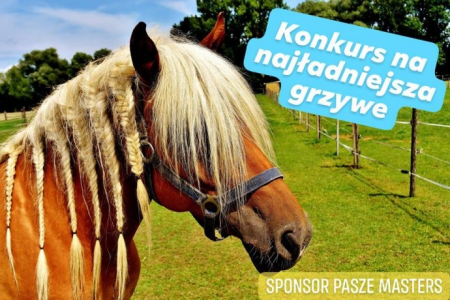 Konkurs od sklepu jeździeckiego Malezja