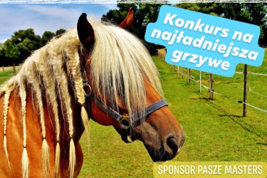 Konkurs od sklepu jeździeckiego Malezja