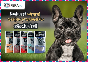 Konkurs fotograficzny "Snack'n'Roll"