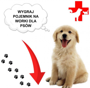 Konkurs fotograficzny od Lupus