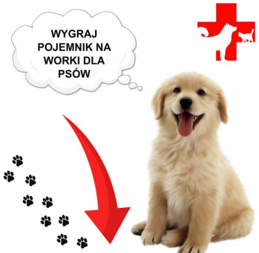 Konkurs fotograficzny od Lupus