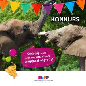Konkurs "Osiemnastka słonia Leona!"