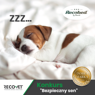 Konkurs fotograficzny "Bezpieczny sen"