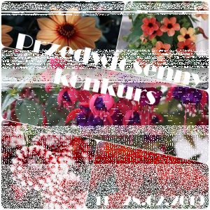 Przedwiosenny konkurs od ZuzkaPisze