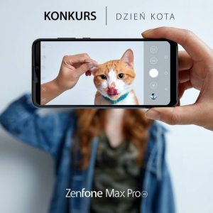 Konkurs fotograficzny "Dzień Kota z ASUS"