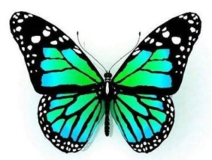 Suwałki: Wygraj bon o wartości 100 zł od Butiku Motyl