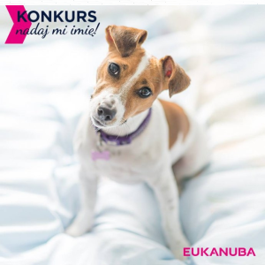 Konkurs "Nadaj mi imię"