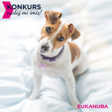 Konkurs "Nadaj mi imię"