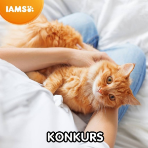 Konkurs fotograficzny "Pupil miesiąca – luty 2019"