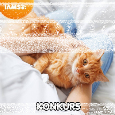 Konkurs fotograficzny "Pupil miesiąca – luty 2019"