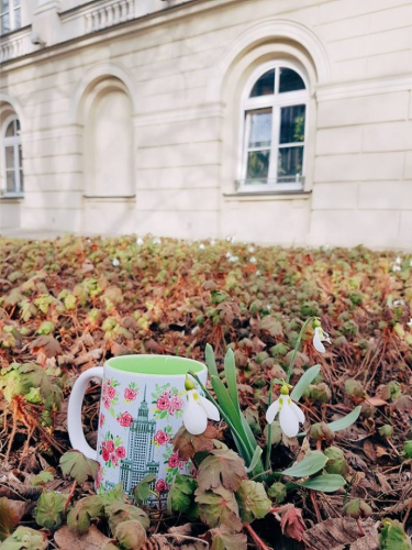 Konkurs fotograficzny "Warszawska wiosna"