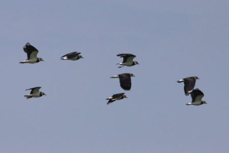 Konkurs "Świętokrzyski Park Narodowy - marzec 2019"