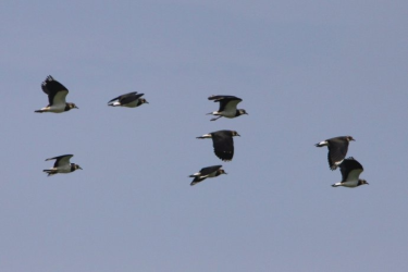 Konkurs "Świętokrzyski Park Narodowy - marzec 2019"