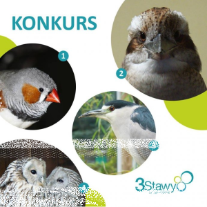 Katowice: Konkurs "3 Stawy"