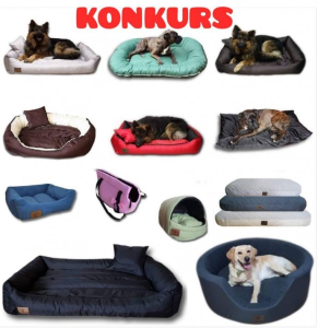 Wygraj legowisko dla zwierzaka