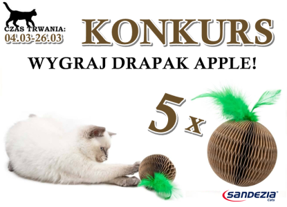 Konkurs fotograficzny: Wygraj drapak dla kota