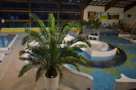 Pionki: Wygraj bilety na basen w Kozienicach! do godz. 20:00