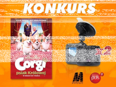 Konkurs "Corgi, psiak królowej Puls 2" do godz. 20:00