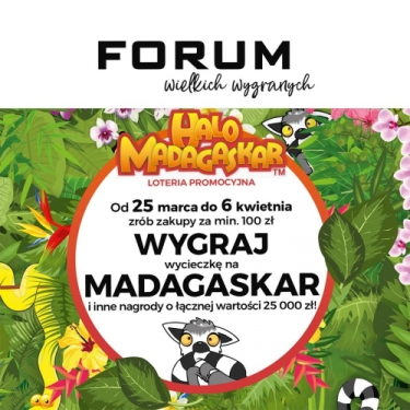 Gliwice: Loteria "Halo Madagaskar"