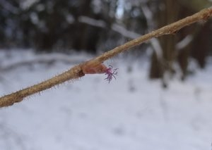 Konkurs "Kwiecień 2019"