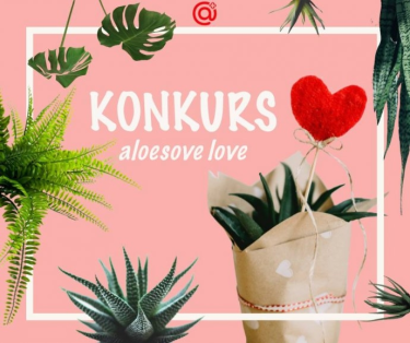 Konkurs "Aloesove Love"