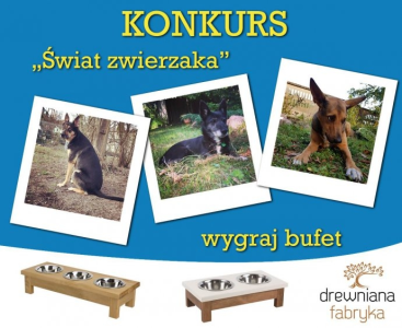 Konkurs "Świat zwierzaków"