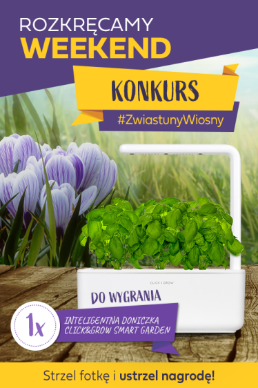 Konkurs fotograficzny "Rozkręcamy Weekend"