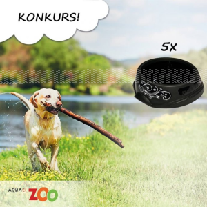 Konkurs filmowy "Wiosenna zabawa z pupilem"