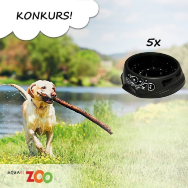 Konkurs filmowy "Wiosenna zabawa z pupilem"