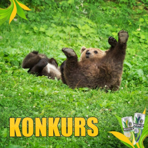 Konkurs fotograficzny "Wiosenne Przebudzenie"