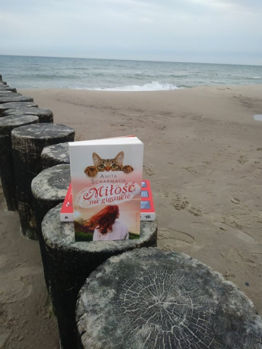 Konkurs "Miłość na gigancie"