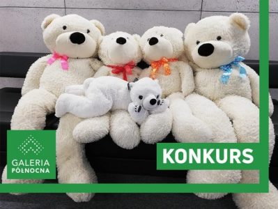 Warszawa: Konkurs "Misie do adopcji"